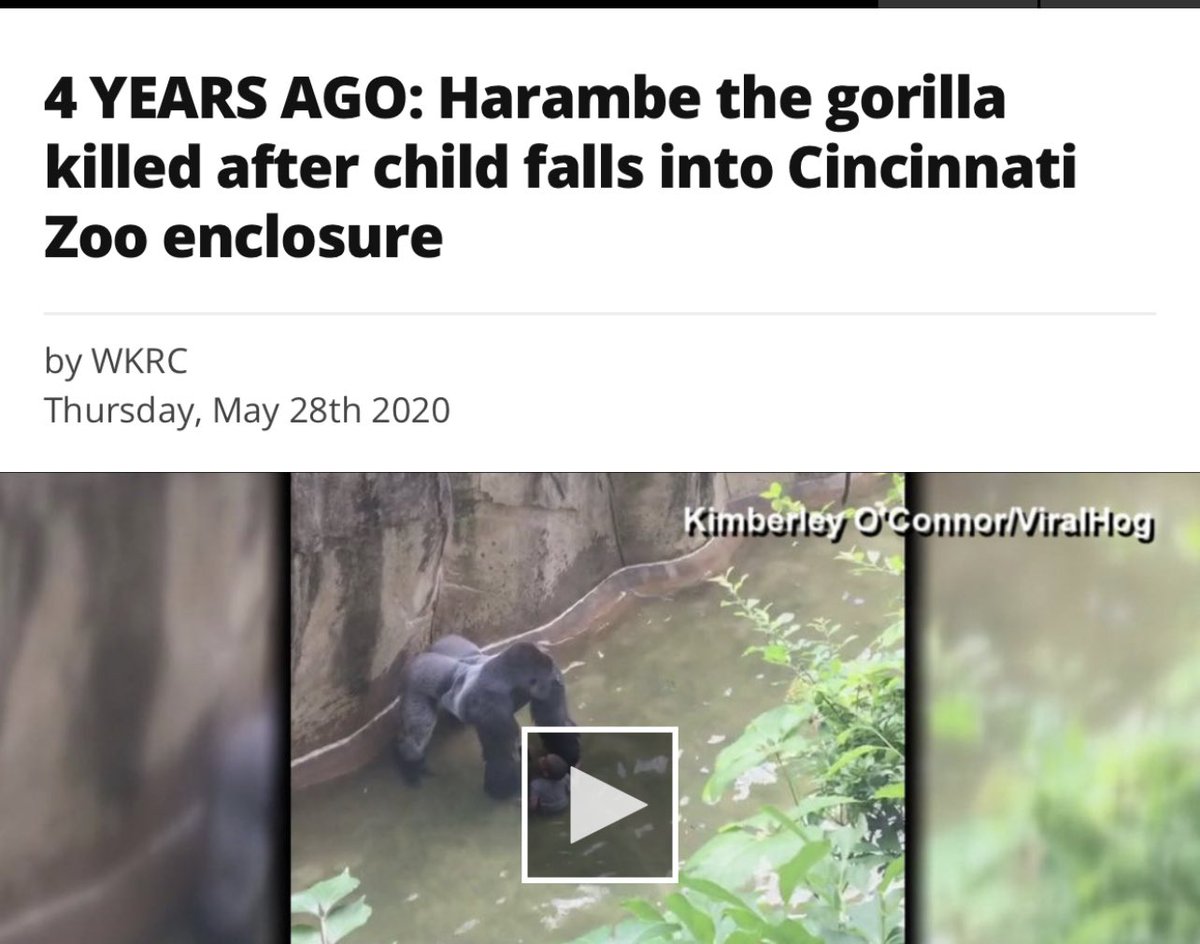 Pink Print Freestyle“I’m dragging these h0es like harambe did the kid”