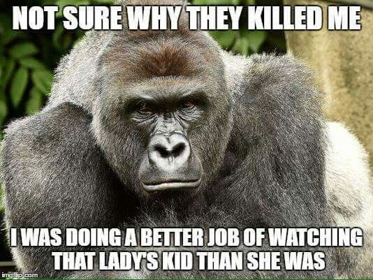 Pink Print Freestyle“I’m dragging these h0es like harambe did the kid”