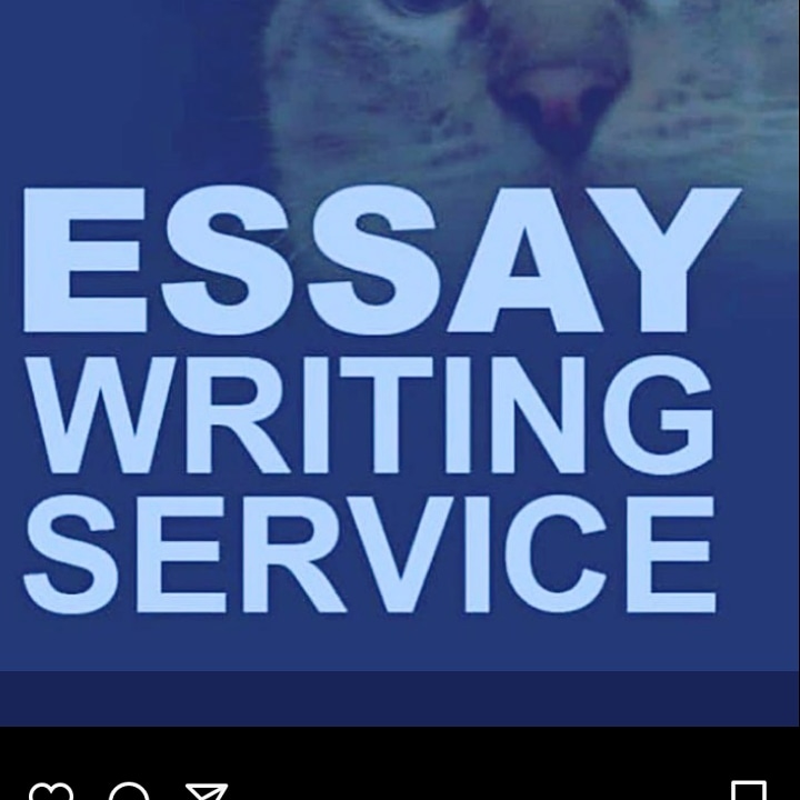 TerryAssignment's tweet image. 