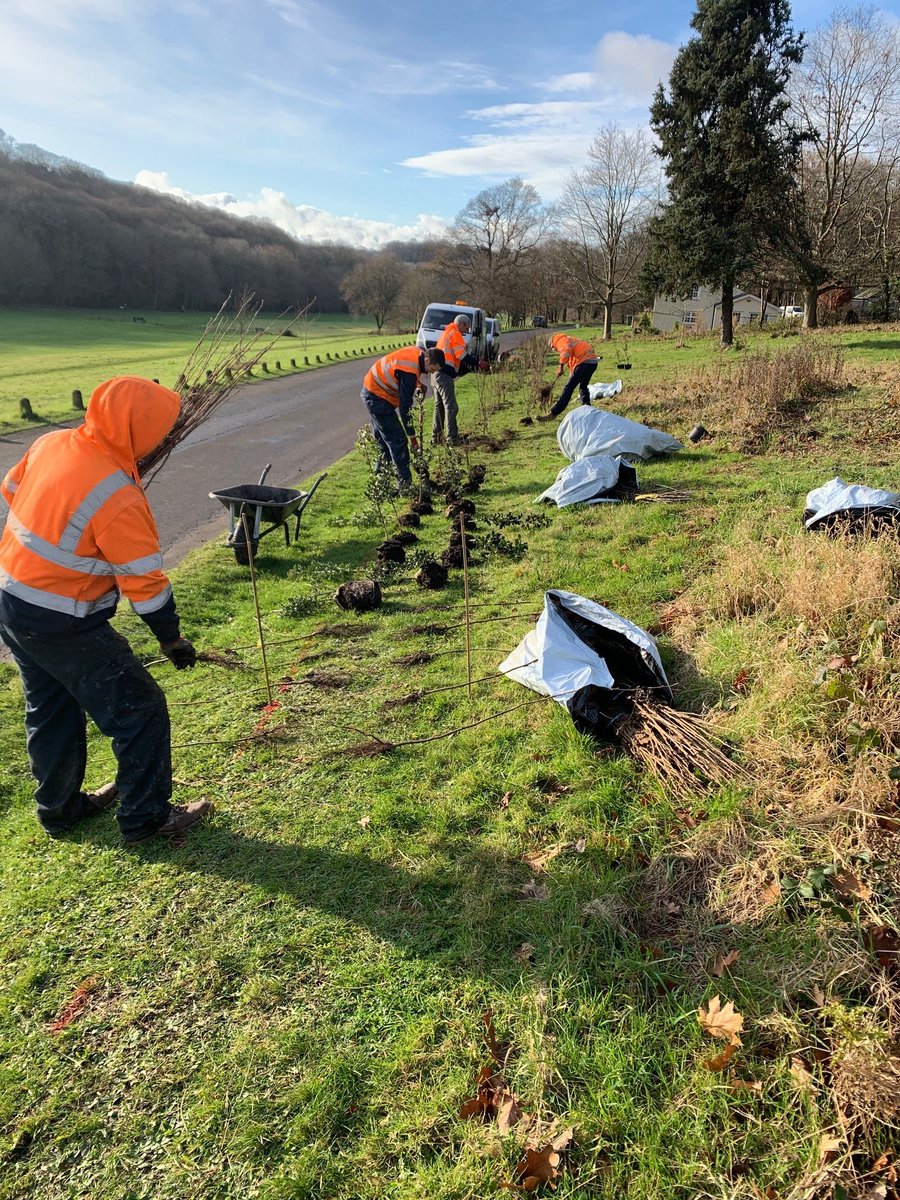 20 oak, cherry and beech trees have been planted across Porthkerry Country Park 🌲🌳

They were kindly given to the park by <a href="/DwrCymru/">Welsh Water</a> as part of the mitigation process after the installation of a new pipeline through the park 💧🤝

Diolch!