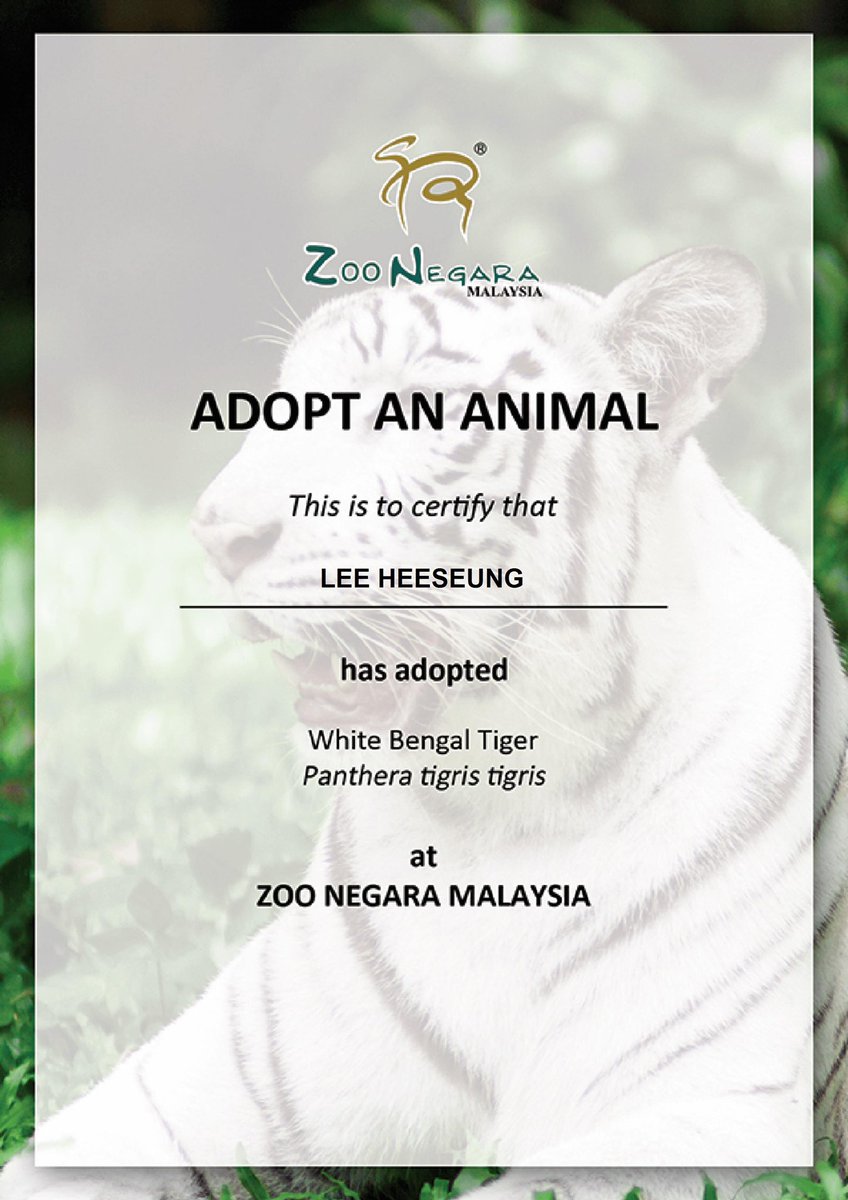 LHSEnhypen1015's tweet photo. I got inspired by @antaresraphy to adopt more lovely animals for our Ace! 🥰

Adopted 2 tigers for our LEE HEESEUNG! 
#HEESEUNG @ENHYPEN_members @ENHYPEN https://t.co/PckANXvrhW