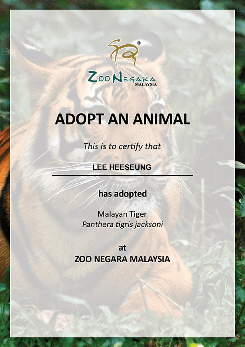 LHSEnhypen1015's tweet photo. I got inspired by @antaresraphy to adopt more lovely animals for our Ace! 🥰

Adopted 2 tigers for our LEE HEESEUNG! 
#HEESEUNG @ENHYPEN_members @ENHYPEN https://t.co/PckANXvrhW