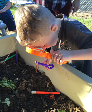 Teachers, you can now apply for a 2020-2021 grant on our website by logging in here: orpsef.org/home The official cycle opens 3/1 and closes 4/1, but those submitted by 2/28 will receive bonus points. Our review committee looks forward to reading your innovative ideas!