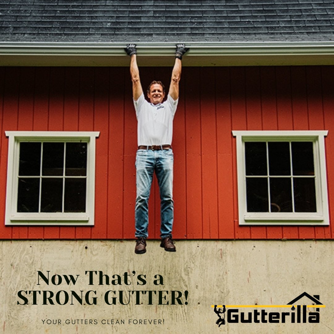 gutterilla's tweet photo. Largest, strongest, patented all-in-one gutter system on the market. Guaranteed to never clog, sag or pull away from your house. https://t.co/BDCOeAbMMS #gutters #gutterguards #guttercovers #austingutters 
#austintx #seamlessgutters #gutterinstallation #gutterrepair https://t.co/qkVxQsGhQq