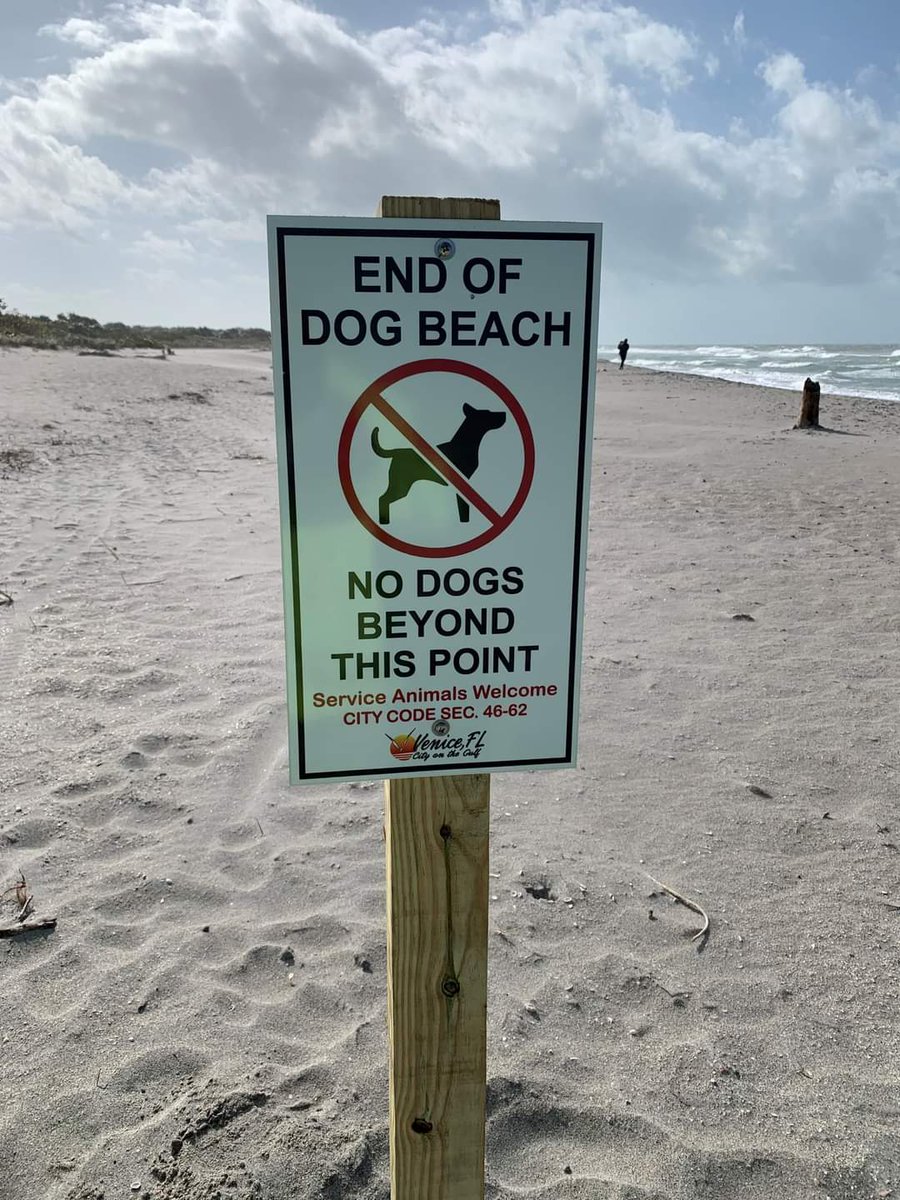 are dogs allowed at point beach