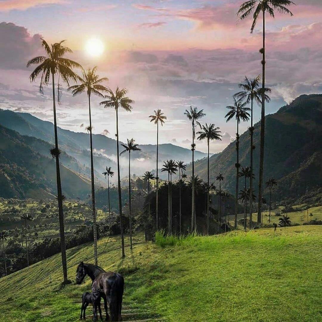 fato_morgano's tweet image. #ProtegerMigrantesEs acelerar el hecho que en el año 2035 Colombia y Venezuela, serán un solo pais... pero cual absorberá a cual...?