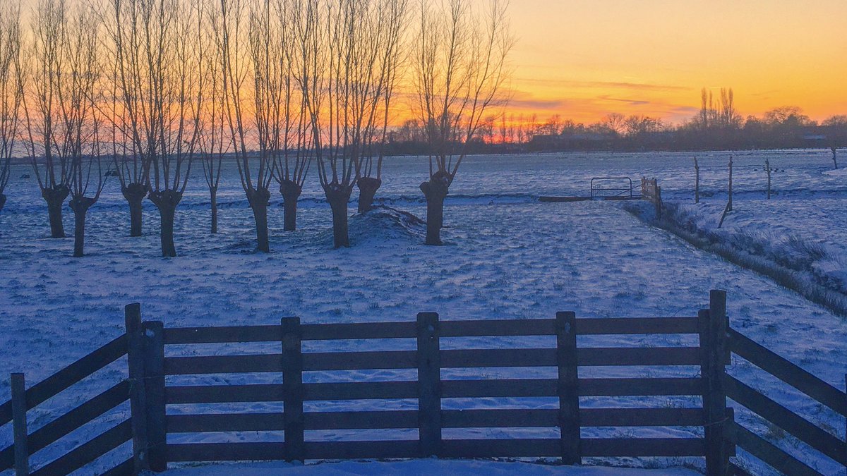 Is it #snowing in your country? Sunset from today and finally been able to make some new pictures with the snow. My hands almost froze of but it was totally worth it 😅😊❤️ #sunset #sneeuw #sunsets