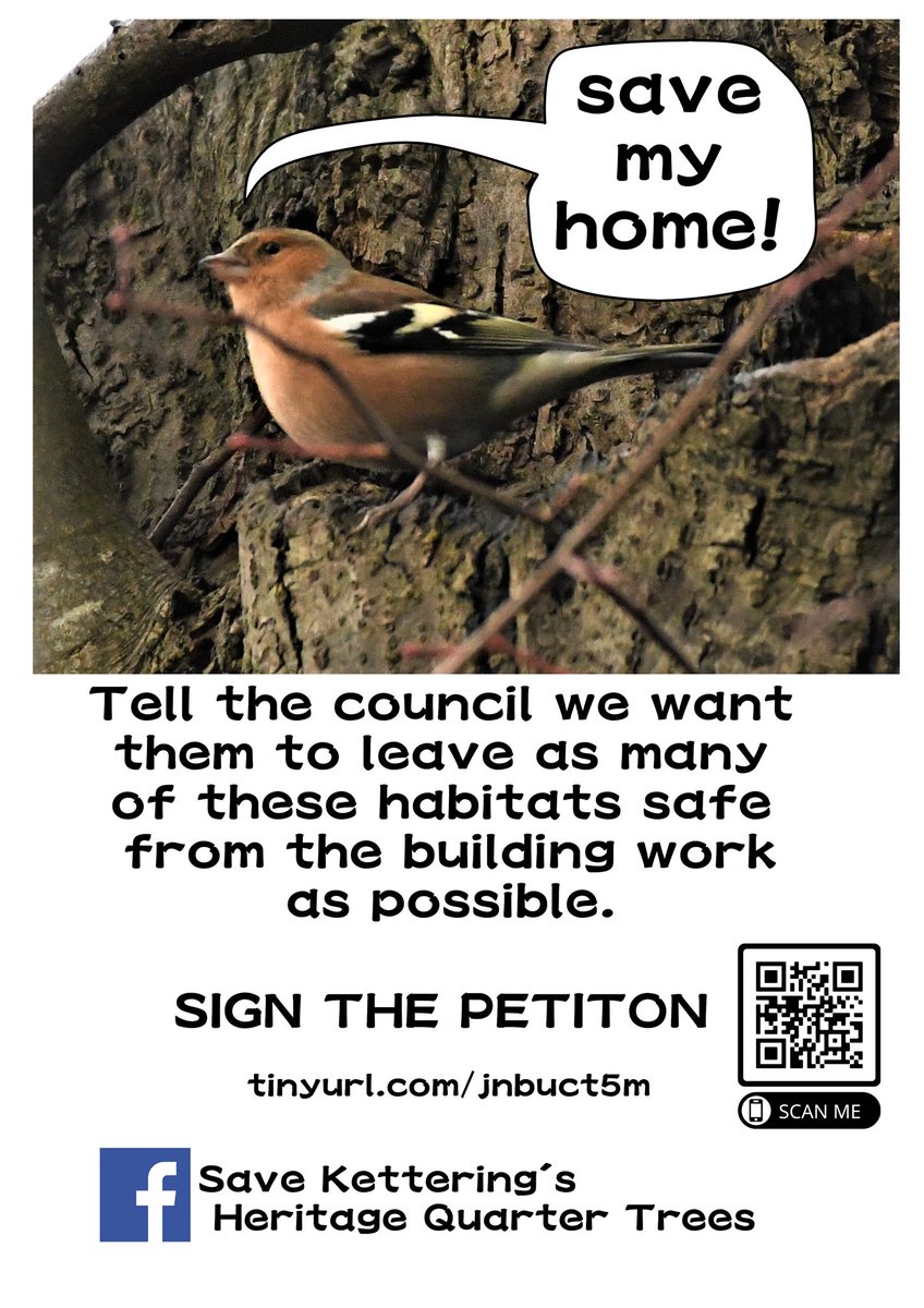 Let us not forget that the plans were already approved, so there was no obligation from the  @KetteringBC to change them.Jack made great new posters featuring some of the wildlife that would be displaced by the development.Oh and the petition  http://tinyurl.com/jnbuct5m&nbsp;12/