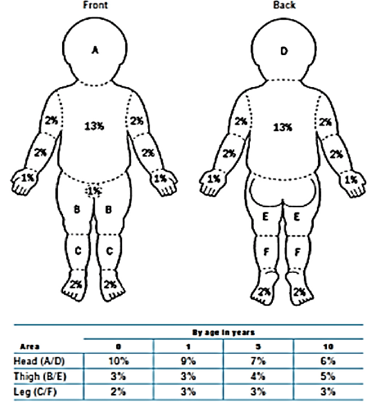 Assess the total body surface area affected.Erythema doesn’t count when calculating the %. Only include superficial partial thickness or more. Use the Mersey Burns app or Lund + Browder chart. The palm is 1%. You are aiming for an estimate, so do your best.6/12