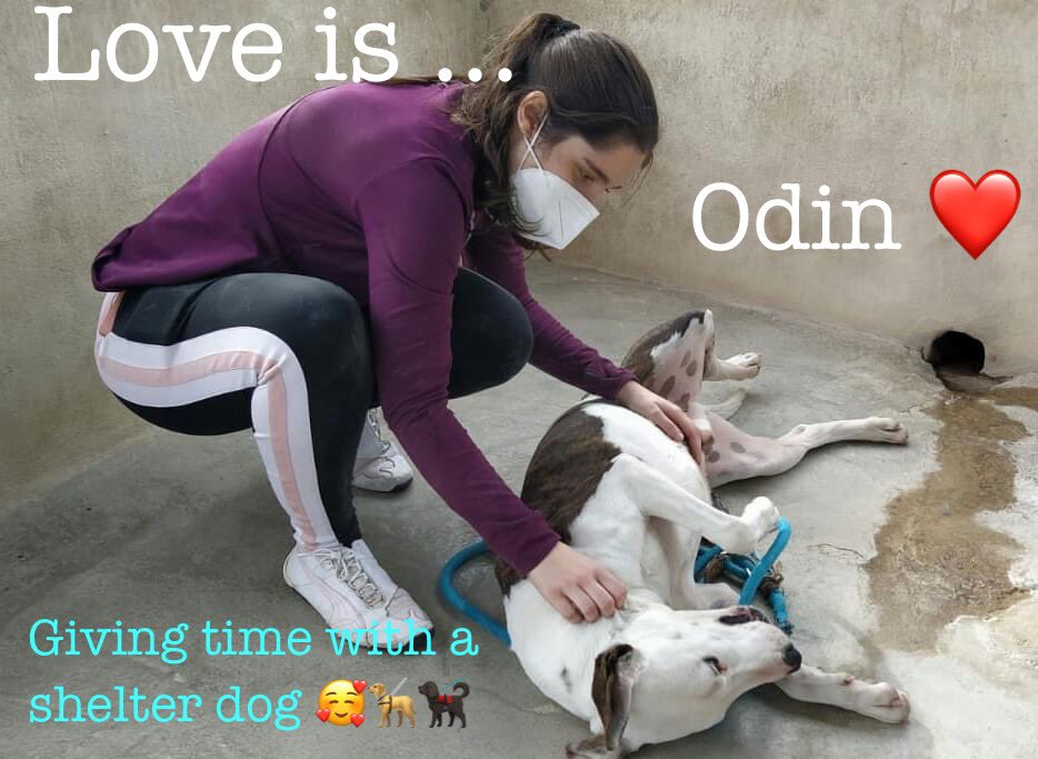 ⁉️⁉️Why is this handsome boy still in a cold cell 😰
Odin has been child tested and acted like a true gentleman 🥰