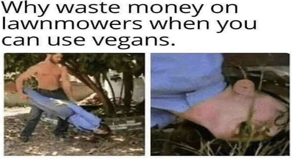 thewrongtype's tweet image. #vegans