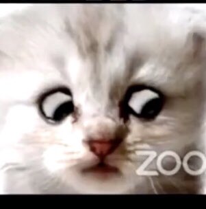 HouseOpera's tweet image. Am I doing this correctly?

How it started...               How it’s going