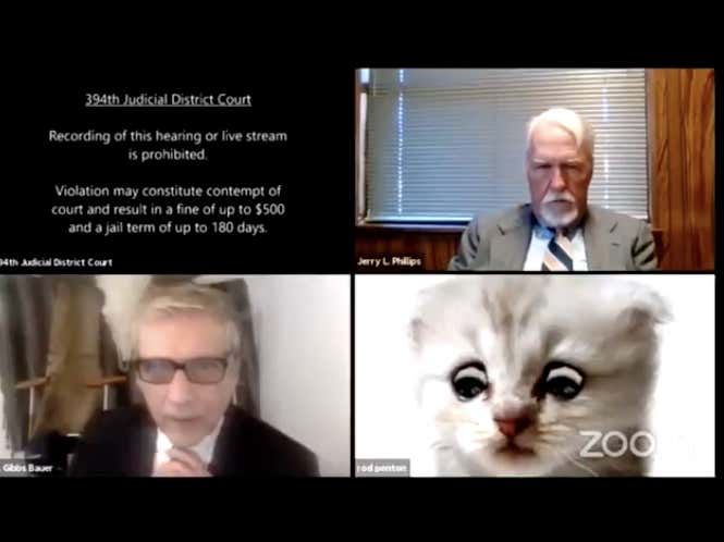 barstoolsports's tweet image. Attorney In Zoom Courtroom Can’t Remove His Cat Background But Gives The Judge Assurances That He’s Actually Not A Cat barstoolsports.com/blog/3329003/a…
