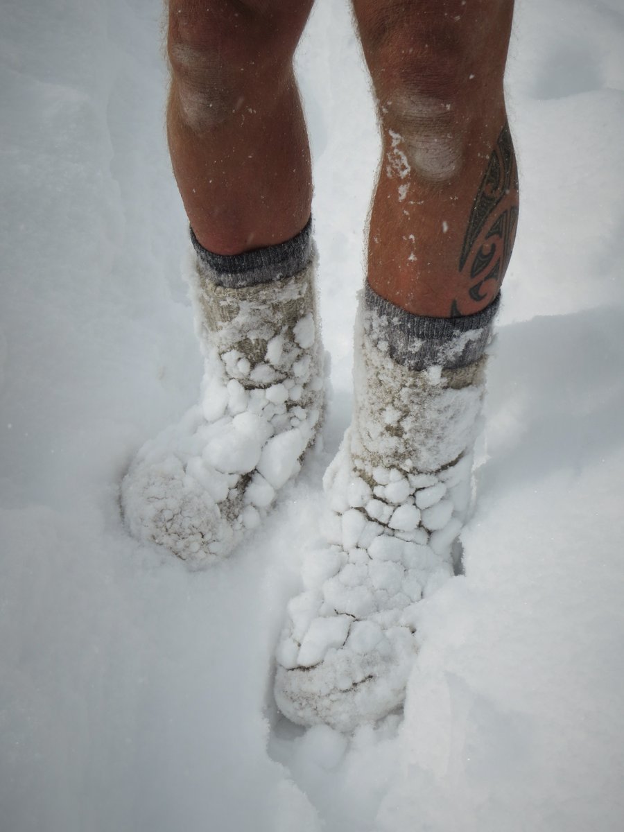Three pairs of wool socks. Two extra-large pairs worn over one large pair. I learned this from Boreal survival master Mors Kochanski (RIP) more than 30 years ago. The socks mimic a felted wool boot that has been used by certain indigenous peoples in the winter time for millennia.