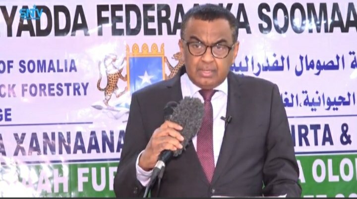 Mohamed Osman Mohamed (@ore_osman1) on Twitter photo The <a href="/MoLFR_Somalia/">Minstry Of Livestock</a> have today launched a new project of vaccination campaign of (CCPP) in Somalia.
The Project will provide vaccination to 14 Million goats in Somalia.
<a href="/Hussein_patni/">Hussein Mohamud Sh. Hussein</a>, the Minister has officially launched the Project.
<a href="/UKaid/">UK aid</a>
<a href="/USAIDSomalia/">USAID Somalia</a>
<a href="/FAOSomalia/">FAO in Somalia</a> The <a href="/MoLFR_Somalia/">Minstry Of Livestock</a> have today launched a new project of vaccination campaign of (CCPP) in Somalia.
The Project will provide vaccination to 14 Million goats in Somalia.
<a href="/Hussein_patni/">Hussein Mohamud Sh. Hussein</a>, the Minister has officially launched the Project.
<a href="/UKaid/">UK aid</a>
<a href="/USAIDSomalia/">USAID Somalia</a>
<a href="/FAOSomalia/">FAO in Somalia</a>