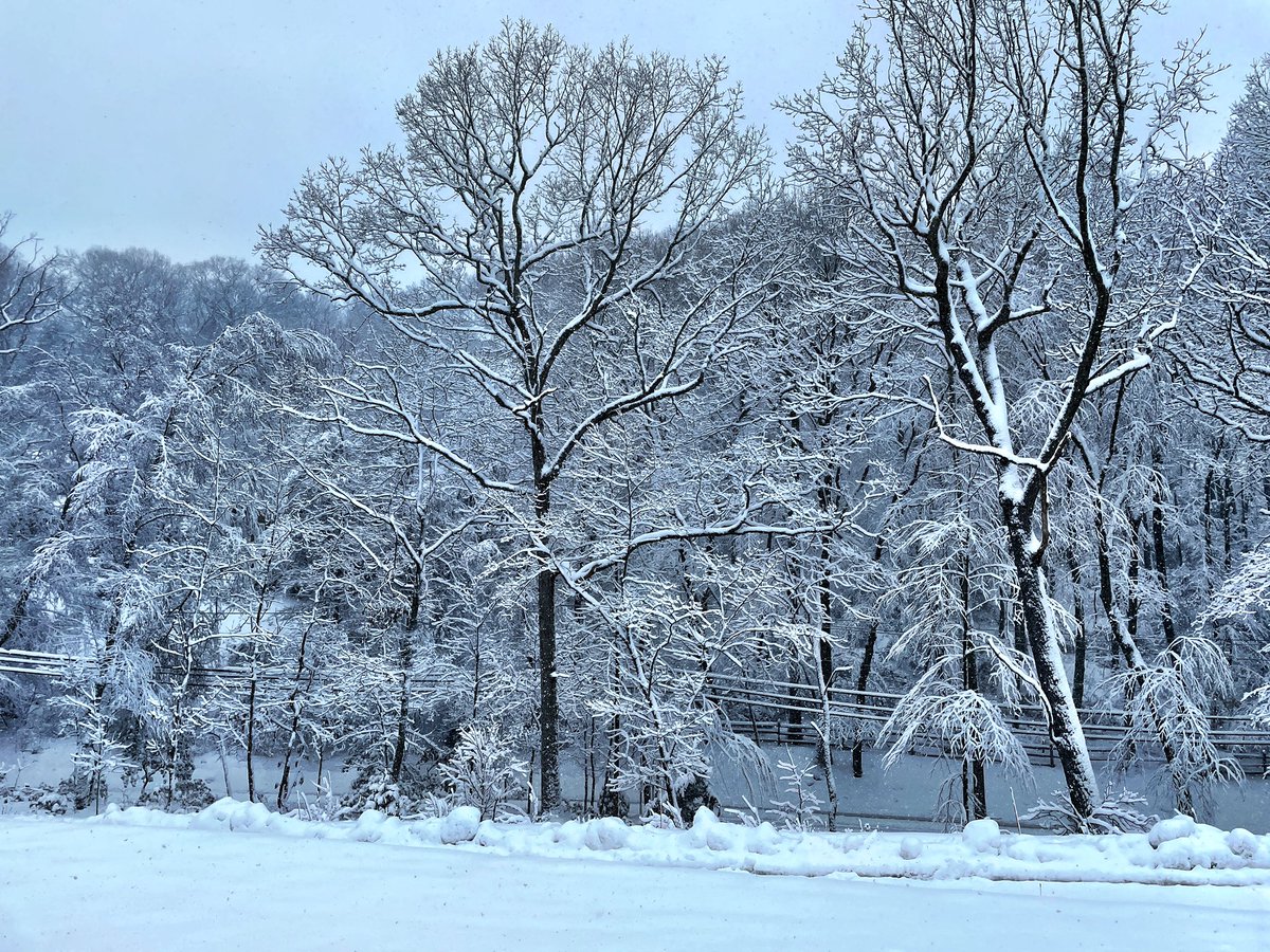 Rich Antoniello 🔑📈💰 tweet media