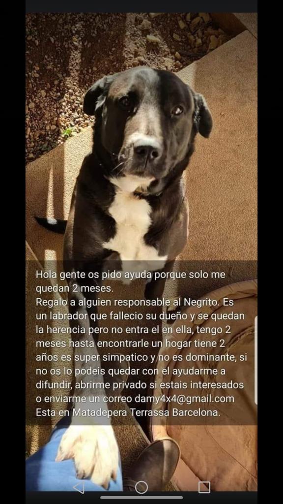 Algú pot ajudar????