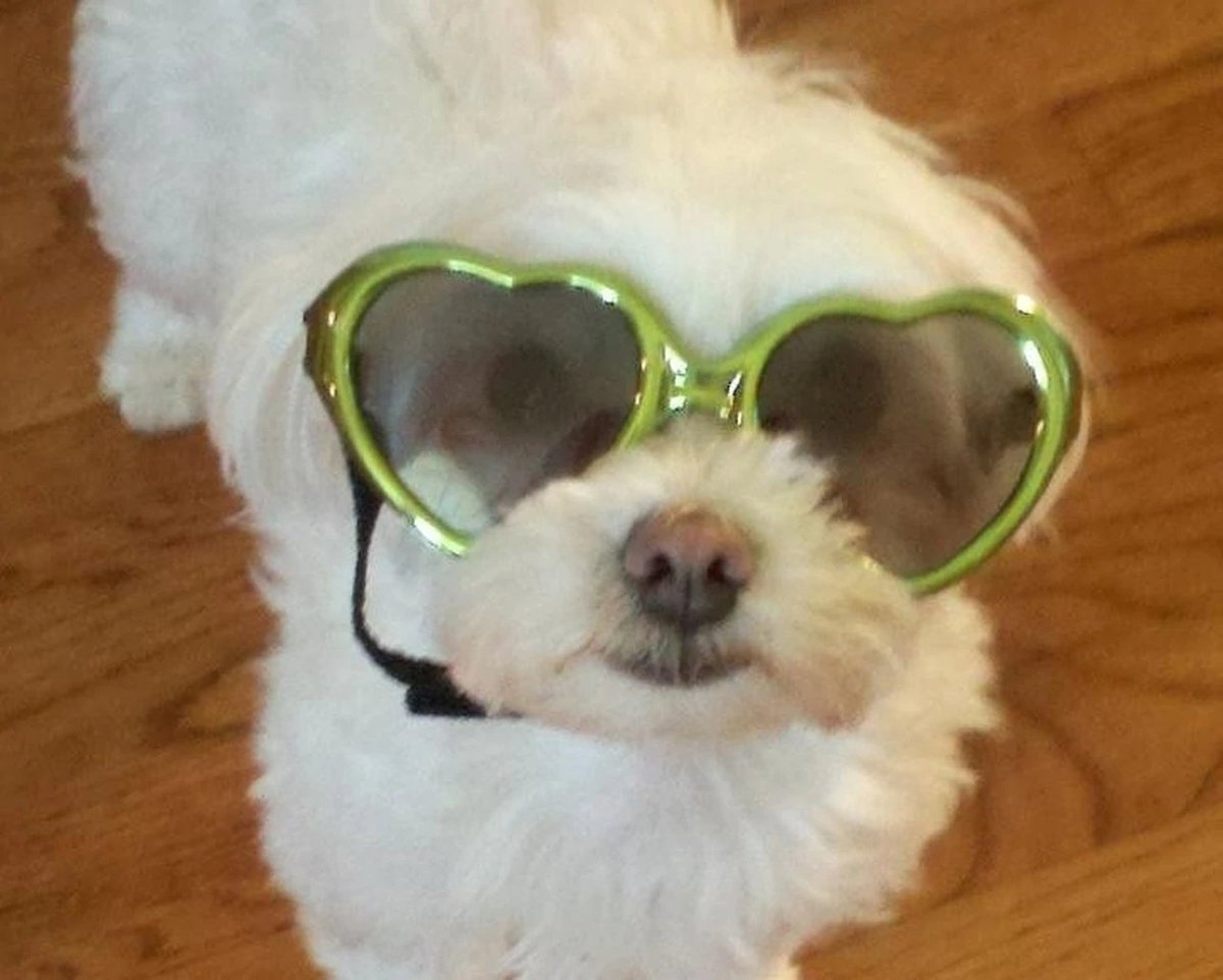 minminthings's tweet image. 