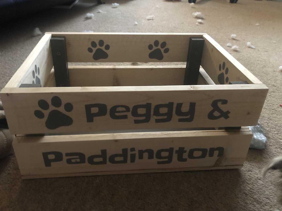 peggyofcheam's tweet photo. Pals! Look what arrived by #Pebblepost today *spins* Mum needs to get down to Pets at Home pretty sharpish, as you can see we deaded our last toy today 😈 https://t.co/KGa6gbFS5M