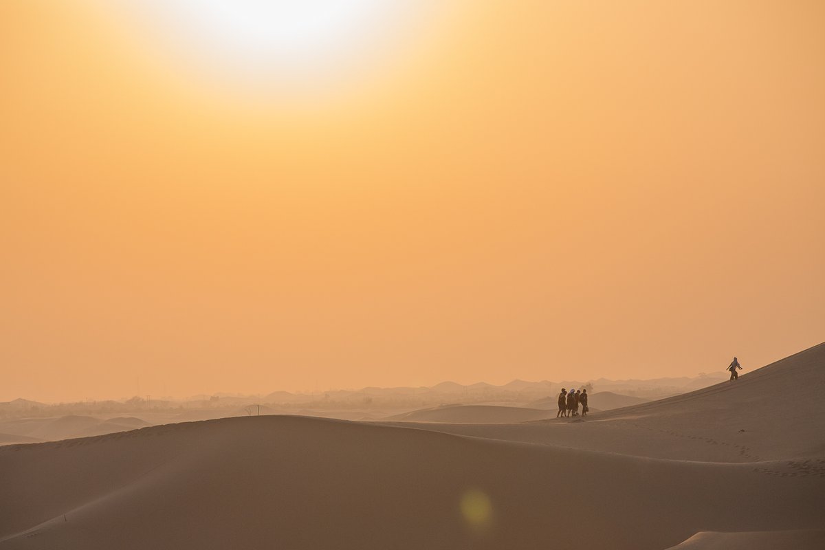 With every passing sunrise, we see hope for a new day, and today we witnessed a historical moment with the Hope Probe reaching Mars.
Good luck to the team behind the Emirates Mars Mission!
Image: Liwa Desert #InAbuDhabi
#HopeProbe @HopeMarsMission https://t.co/or9hNbqIkC