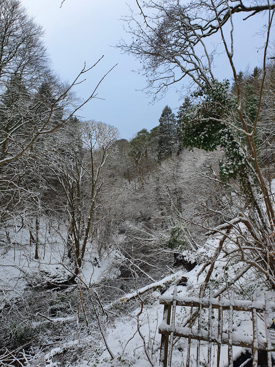 mastlix's tweet photo. @RadioClydeNews Calderglen in East Kilbride https://t.co/WpH0Z8W5bz