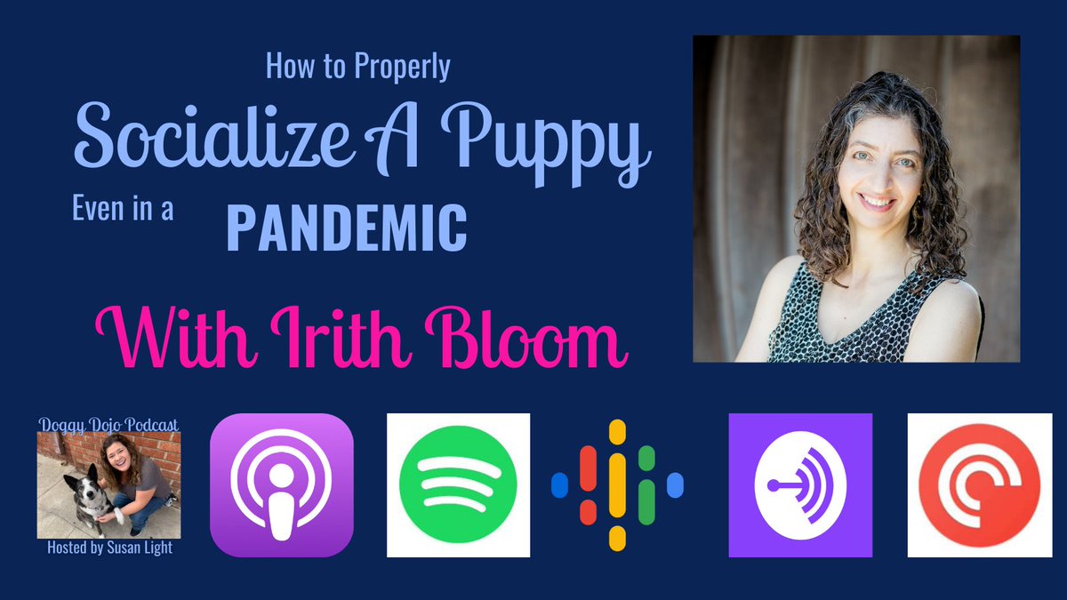 doggydojopodcast.com/socialize-a-pu…  :-)