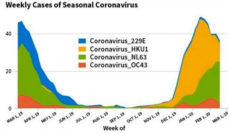3/: The following graph shows that  #seasonality also applies to  #coronaviruses. Cases usually start dropping between January and March and start rising between November and December. Key factors for this phenomenon are, among others,  #humidity and  #vitaminD blood serum levels.