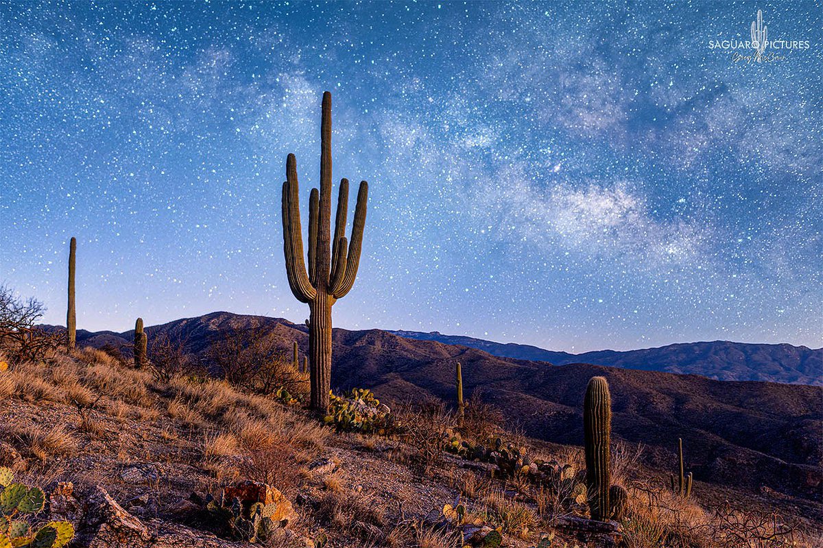 It's back!! Not that it ever left, but the Milky Way is finally back in a position where it can be photographed. This was just before 5am this morning northeast of Tucson, Arizona in the lower elevations of the Catalina Mountains. #nikonusa #saguaro #nightscaper #saguaropictures