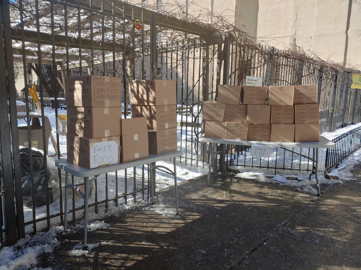 HarlemGrown's tweet photo. So proud of our team. To pivot on a dime from teaching nutrition and growing food to sourcing fresh,healthy foods for free distribution in our community. 
A resilient org in a more resilient community. 
We LOVE Harlem!
#growingtogether 
#BetheChange https://t.co/bnYL3ZD2Xb