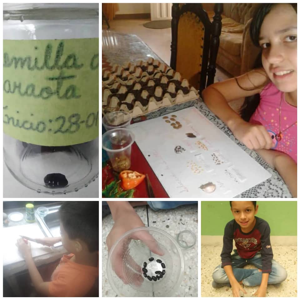 Preparación  de semillas para realización de semillero por parte de estudiantes de 5to grado. E. B Pablo Emilio Gamboa Peñaloza