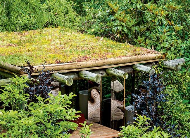 [CONSEIL JARDINAGE] Idée sympa : végétaliser le toit d'un abri de jardin ou d'une niche ! buff.ly/2Mip3Ri