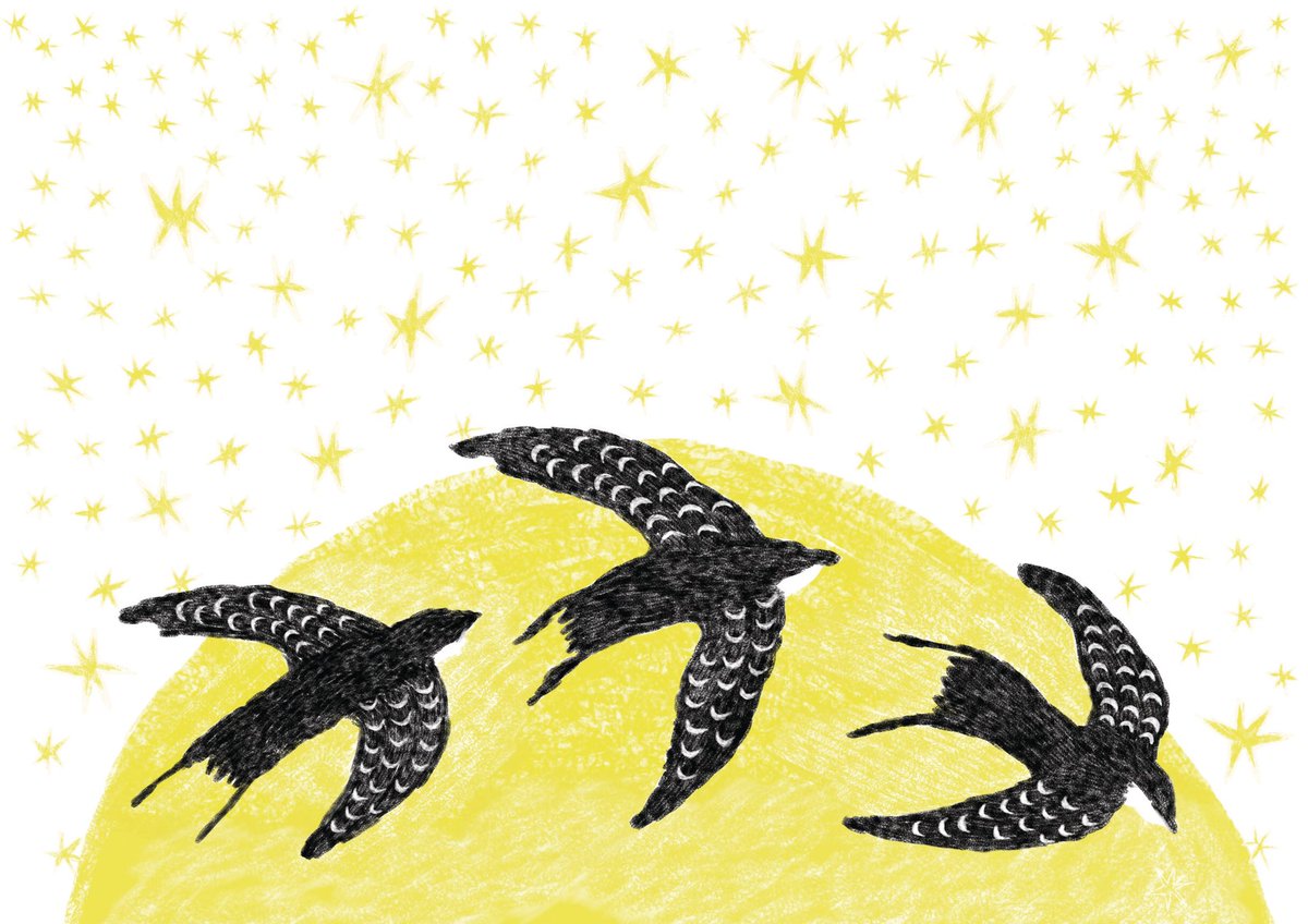 moon bird 🦅 :)
ติดสเก็ตช์ในกระดาษก่อน

ภาพสเก็ตช์                        ภาพจริง