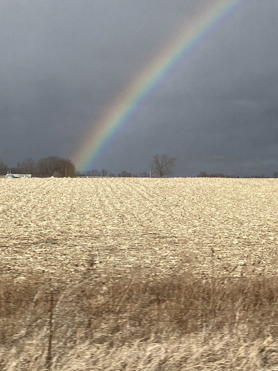 Dan Schuster tweet media