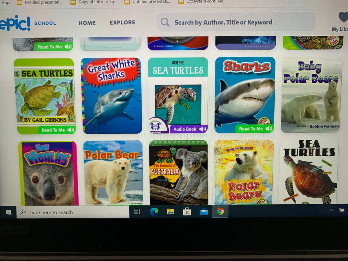 Looking forward to sharing this with the class today as we start our research projects on animals! 🐸 🦈 🐻‍❄️ 🐢