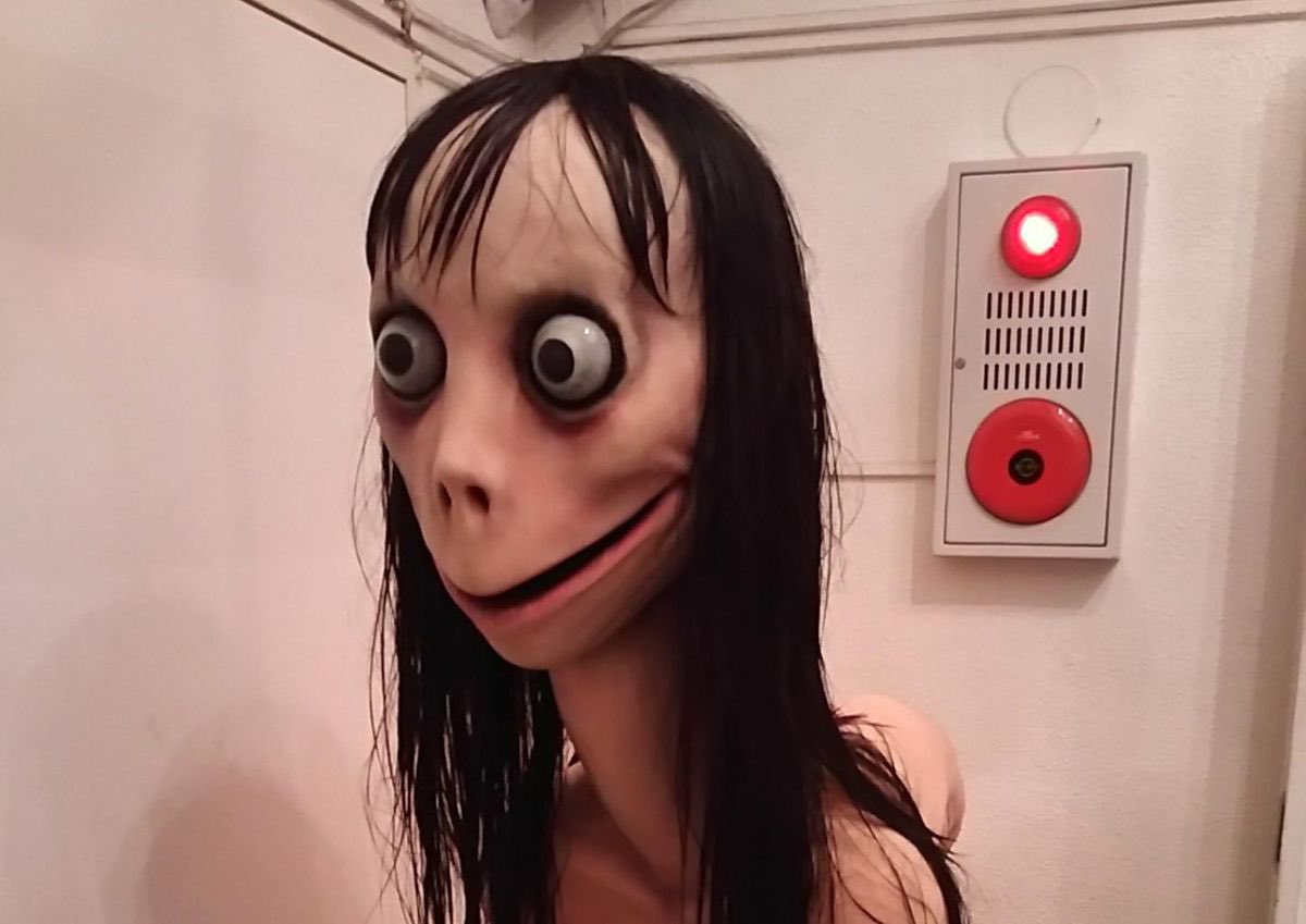 jackielacroix3's tweet photo. jumpscare https://t.co/LEaHEnT6kF