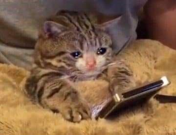 iLP91SWA's tweet image. Un mes de “ #LPFinalAct “