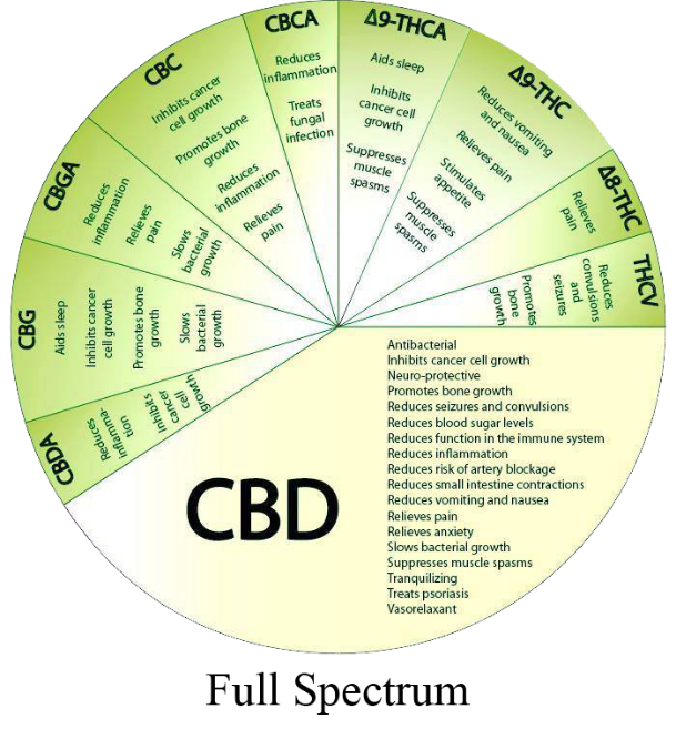 Verde_CBD's tweet photo. Are you familiar with all the types of CBD? This handy chart breaks it down to fully understand the opportunities that exist in the differing forms:
#CBDtypes #CBDfullspectrum #Verdeorlando
https://t.co/5jAkqdbfhd https://t.co/At5iD8oN4O