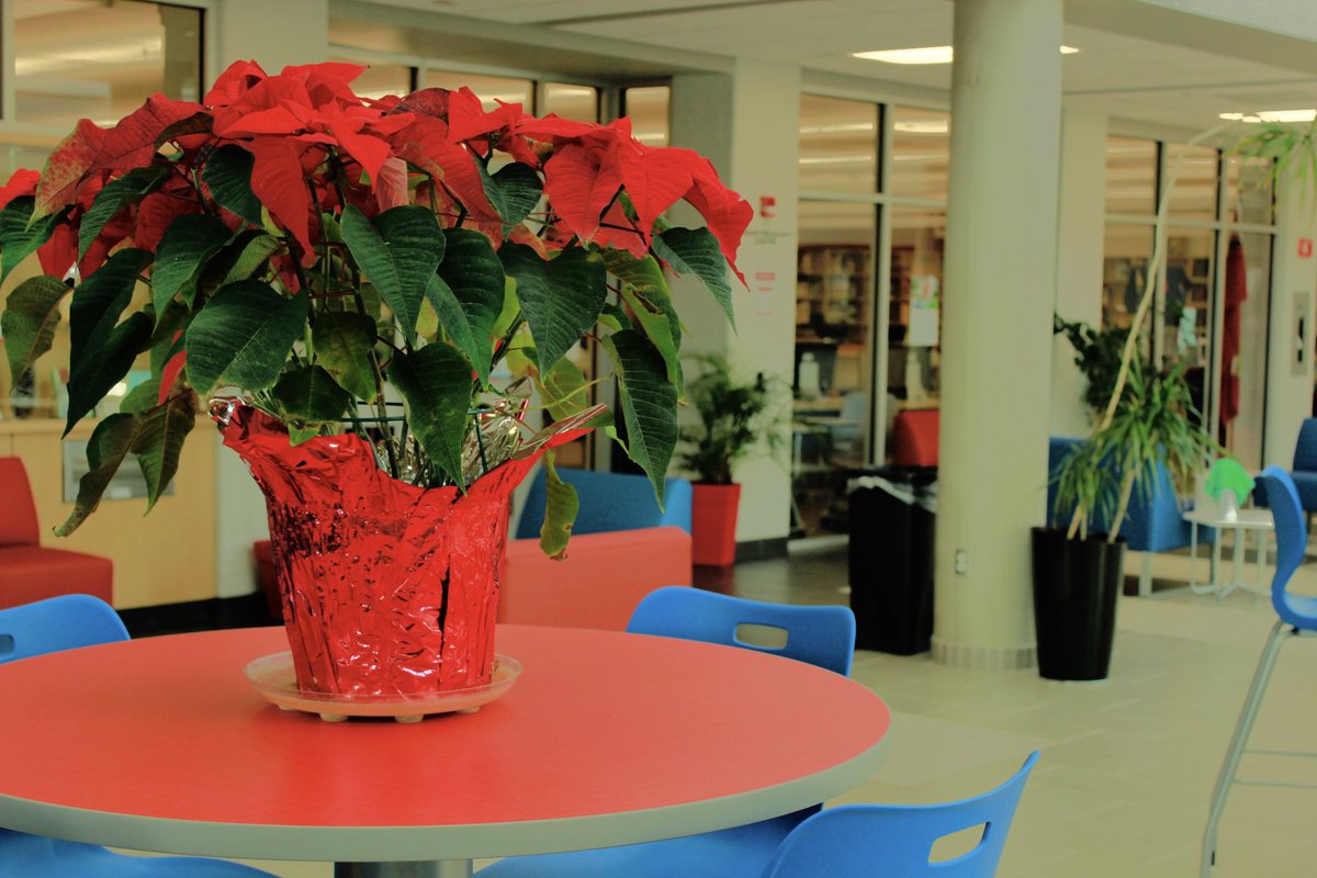 TechnologySab's tweet image. Photography work completed by students in Grade 11 Communications. Students were working on concepts such as Shutter Speed, ISO and Aperture today.