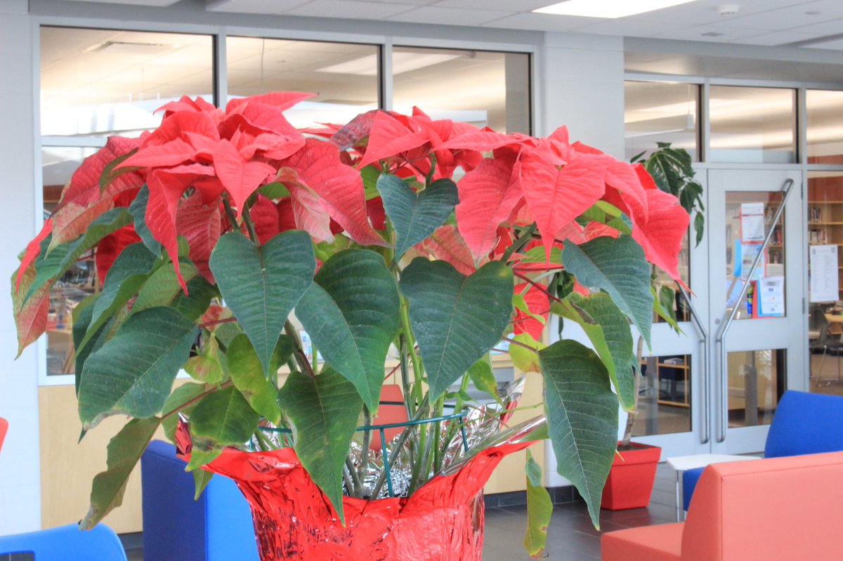 TechnologySab's tweet image. Photography work completed by students in Grade 11 Communications. Students were working on concepts such as Shutter Speed, ISO and Aperture today.