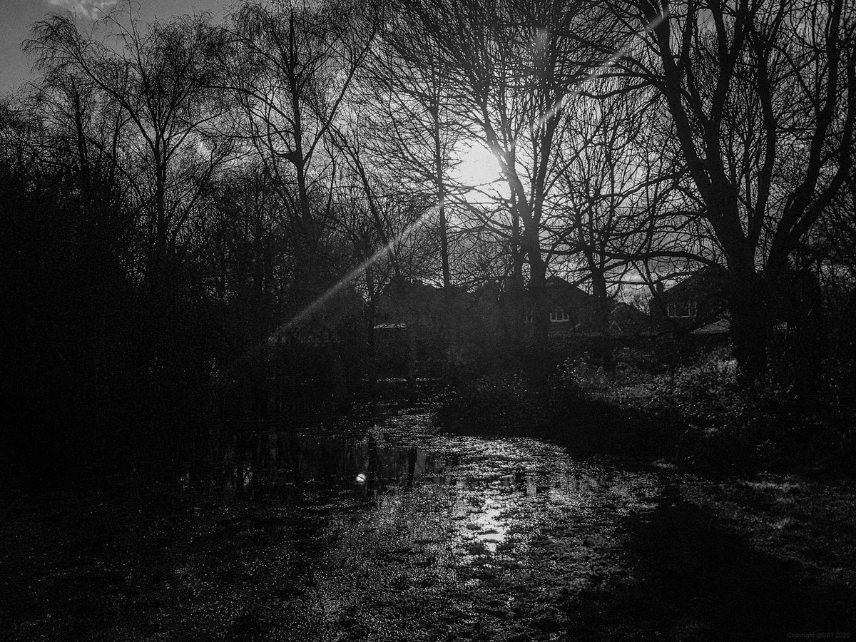Frozen in moonlight.
 #bnw_captures #bnwphotography #bnwlandscapes #bnwphoto #landscapephotography #blackandwhitephotography