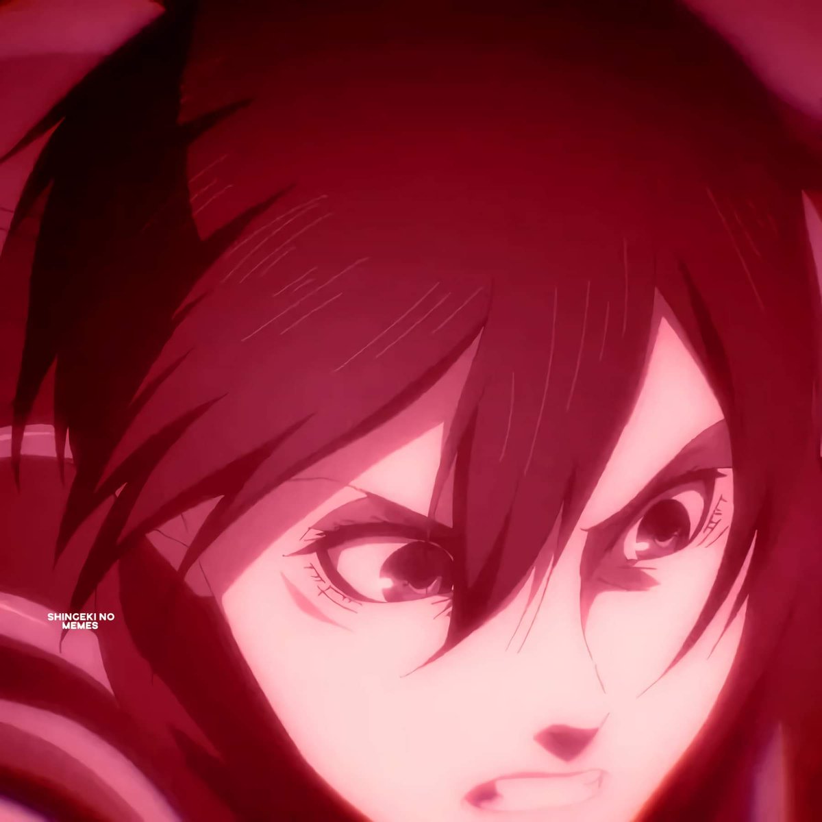 Shingeki No Memes tweet media
