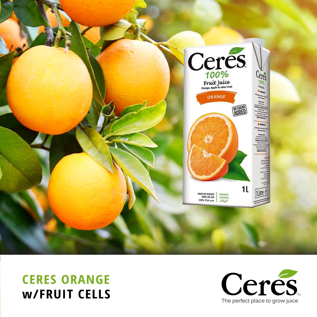 peglimited_'s tweet photo. Valencia oranges are the best for juicing, known for a high juice content &amp; delicious balance of tart &amp; sweet. They continue to ripen after harvest, the longer they ripen, the sweeter the taste!

#DrinkJuice #DrinkCeres #NaturesBest #CeresJuice #CeresFruitJuice #CeresBarbados https://t.co/yOQkBszb1y
