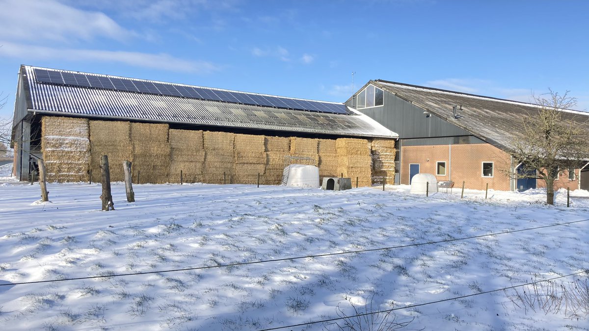 Johan de Jong tweet media