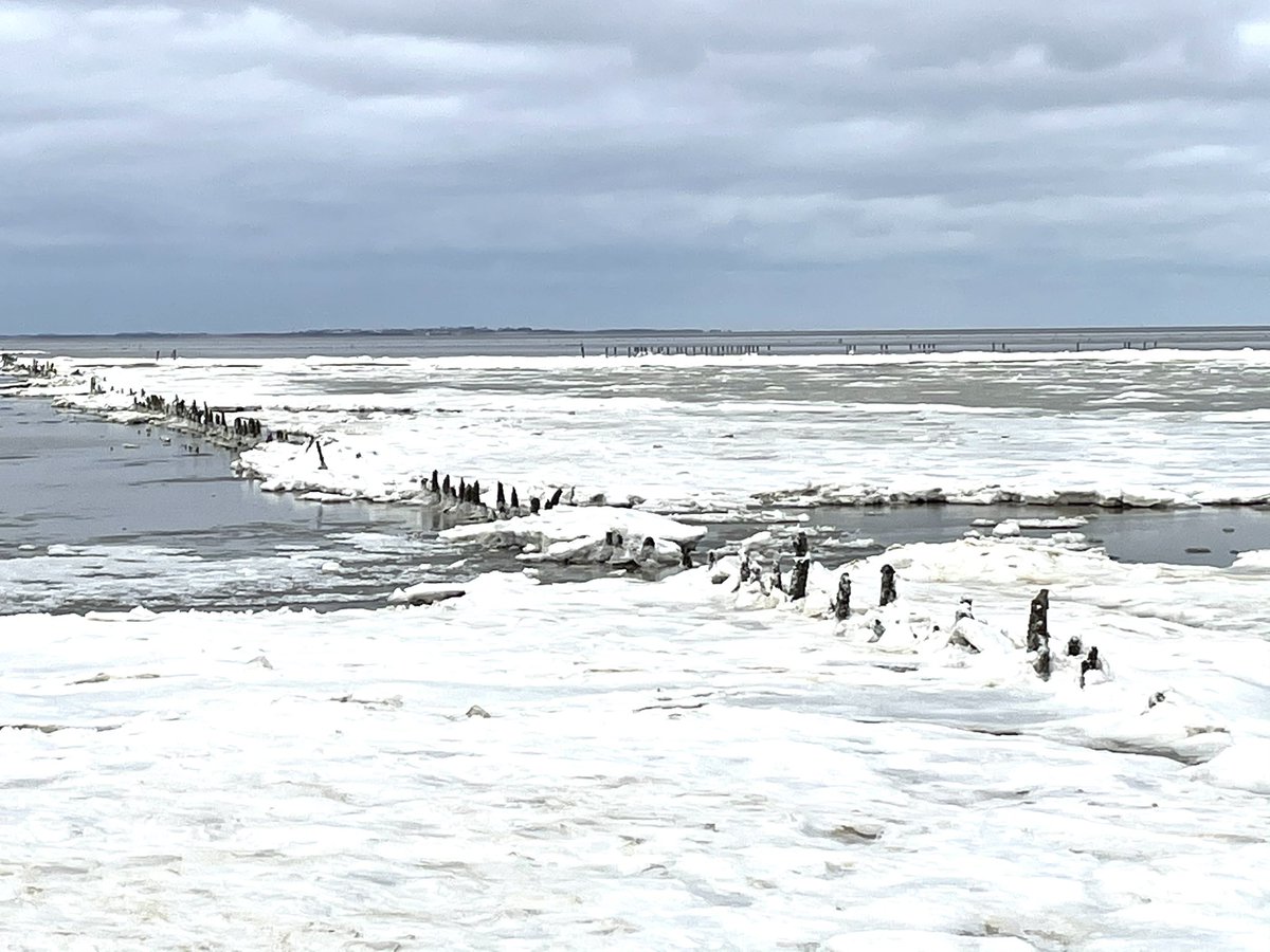 Ijs op het wad #waddenzee #ijs