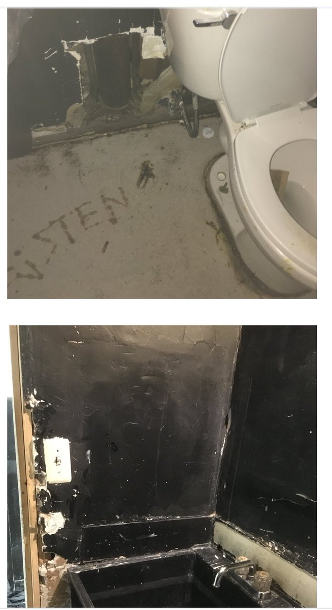 Stanley Q Woodvine tweet media