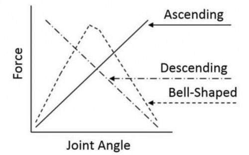 Strength Curve, Power & Adaptive OverloadExercises such as the bench press & squat an ascending strength curve. This means that the tension required to complete the lift decreases as the bar gets closer to the lockout position. This is a mechanical advantage due to leverage.