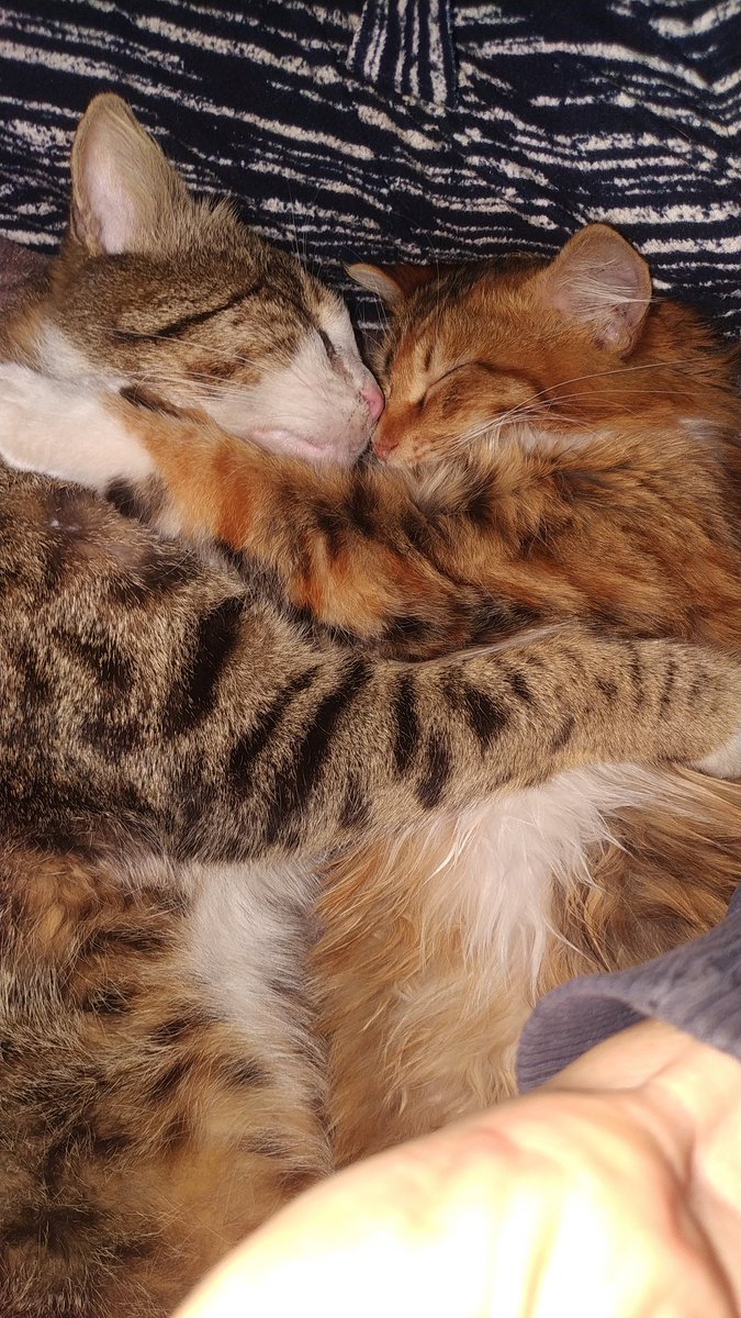 Fena poz verir benim oğlum 😊