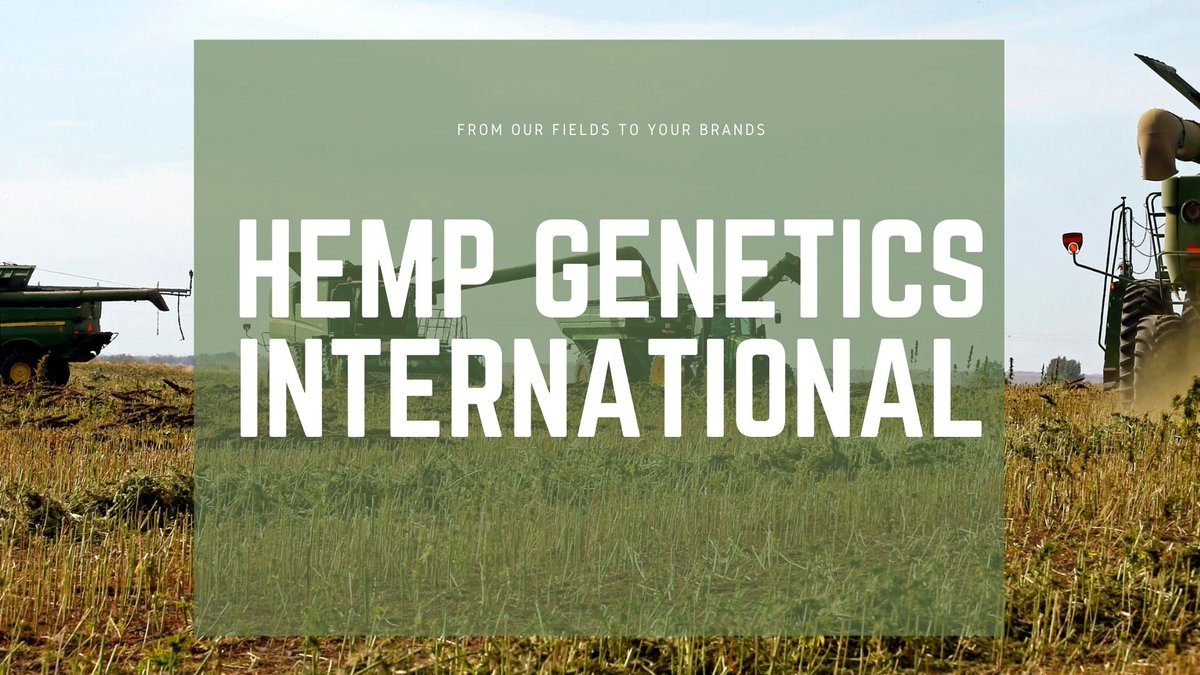 Hemp Genetics International tweet media