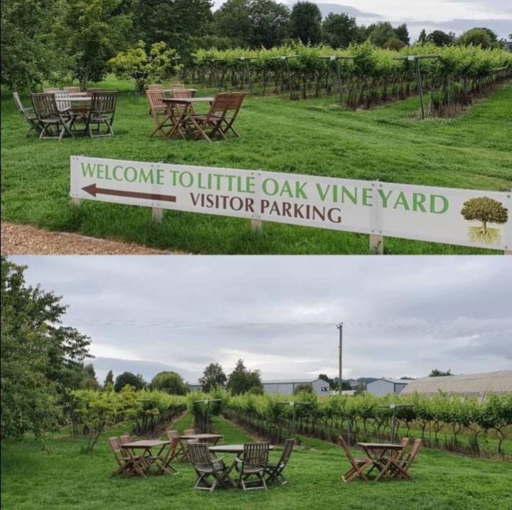 If your staying in the area then a visit to <a href="/LittleOakVines/">Little Oak Vineyard Ltd</a> #chippingcampden  is a must. #callcookieprivate has taken lots of their customers to and from the vineyard all of which have had a great time &amp; a few glasses 🙂 #wine #vineyard #grapes  #winetasting #visitorattraction