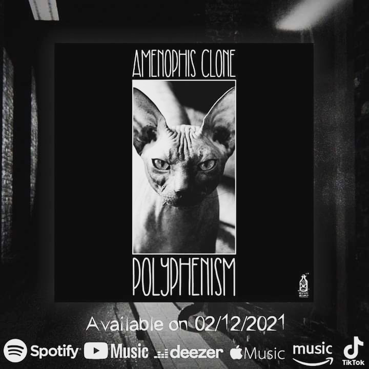 AmenophisC's tweet photo. Hey ๐ ๐บ thanks to all my family, friends, and followers ๐ป๐ I love you so much ๐ค Thank you for all your kind messages and support ๐ค๐ค #polyphenism will be available on the 02/12/2021 on all major streaming music services โ
see you soon ๐
Take care
https://t.co/uxh6DXNK7a https://t.co/mU6JNM0a6A